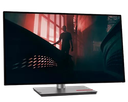 Lenovo ThinkVision P27h-30 / 27" QHD 2560x1440 / 27p IPS - 2560x1440 16:9 - 350cd/m2 - HDMI - DisplayPort - USB Hub LAN/RJ45